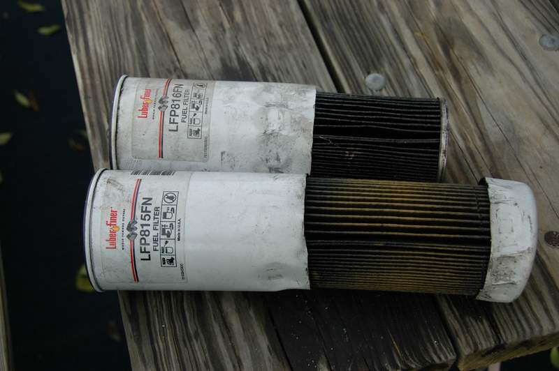 Fuel Filters with Algae growth
