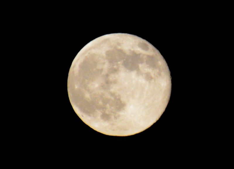 Super Moon over Elkhorn Ridge RV Resort
